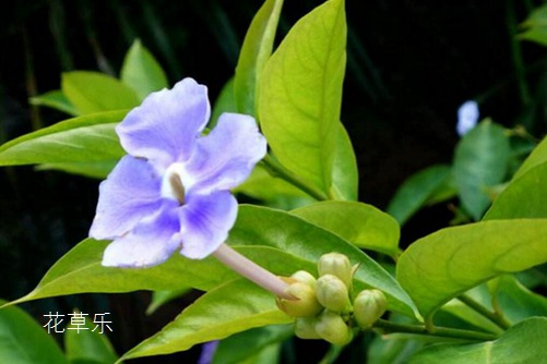 美美动漫8av国产精爽爽线观看传媒公司，那些年，我们追过的梦幻光影之旅